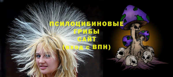 прущий лед Белокуриха