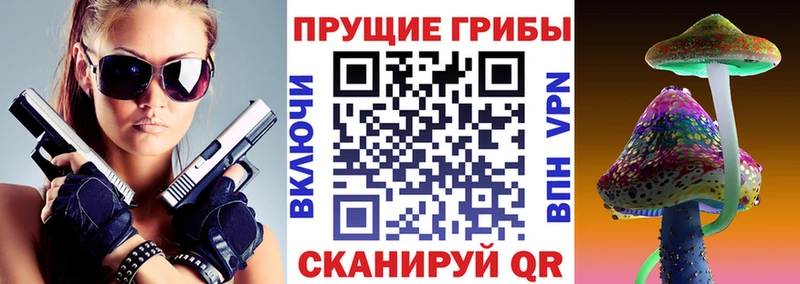 Купить  Володарск  Псилоцибиновые грибы Psilocybe 